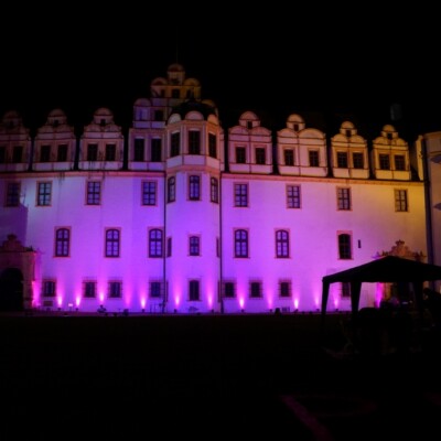 Pinkifizierung_Schloss_Mädchentag_2016 (1)
