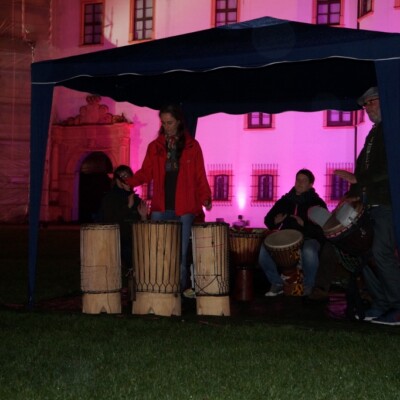 Pinkifizierung_Schloss_Mädchentag_2016 (10)