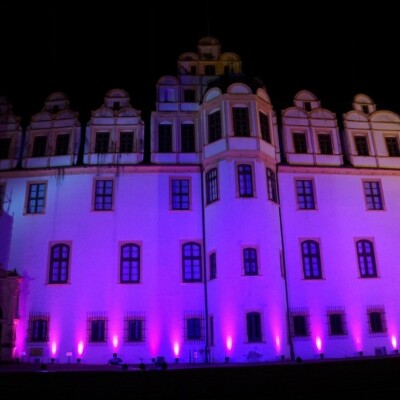 Pinkifizierung_Schloss_Mädchentag_2016 (14)