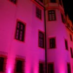 Pinkifizierung_Schloss_Mädchentag_2016 (15)