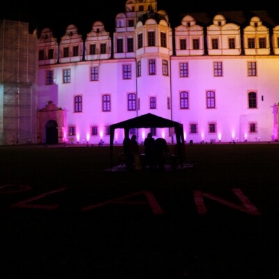 Pinkifizierung_Schloss_Mädchentag_2016 (2)