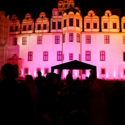 Pinkifizierung_Schloss_Mädchentag_2016 (6)