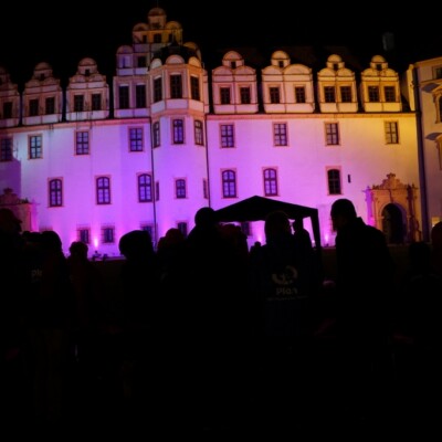 Pinkifizierung_Schloss_Mädchentag_2016 (8)