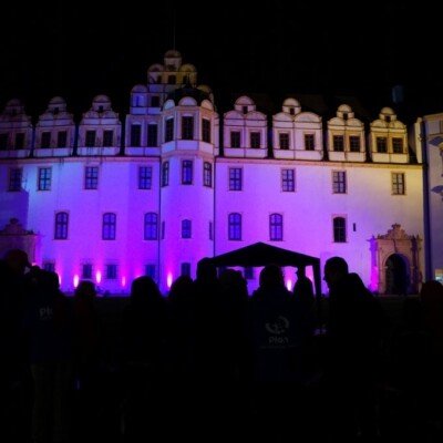 Pinkifizierung_Schloss_Mädchentag_2016 (9)